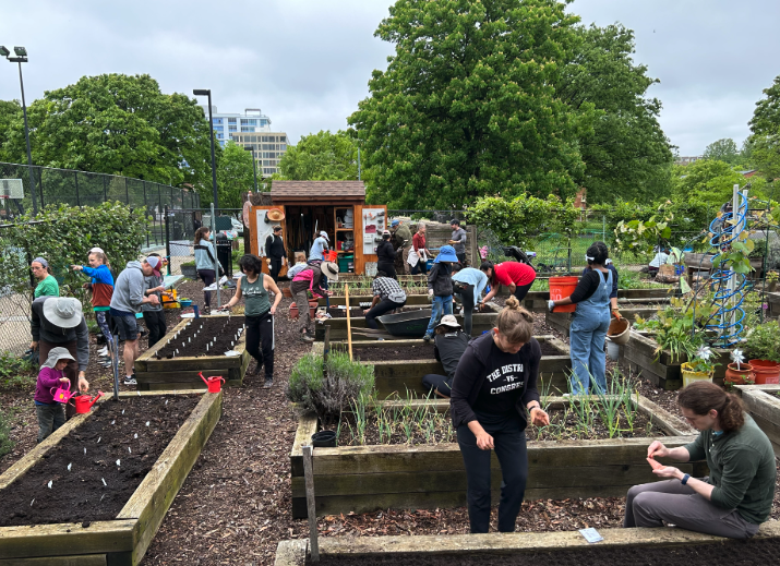 The Benefits of Community Gardening